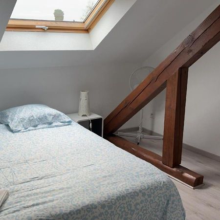 Апартаменты Le Manoir De Cyrielle A 10 Min Du Centre De Strasbourg Bischheim Экстерьер фото