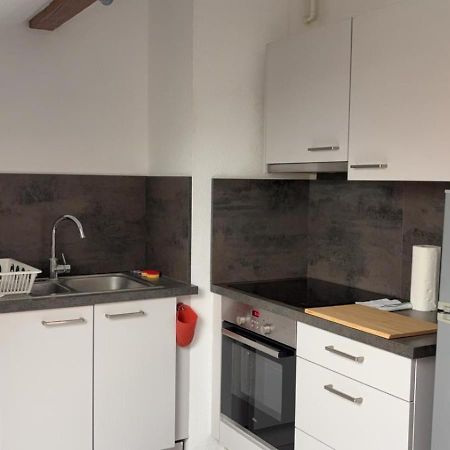 Апартаменты Le Manoir De Cyrielle A 10 Min Du Centre De Strasbourg Bischheim Экстерьер фото